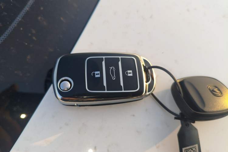 Used CHANGAN Alsvin 2019 1.4L Manual Comfort Edition China VI Standard Vehicle Key
