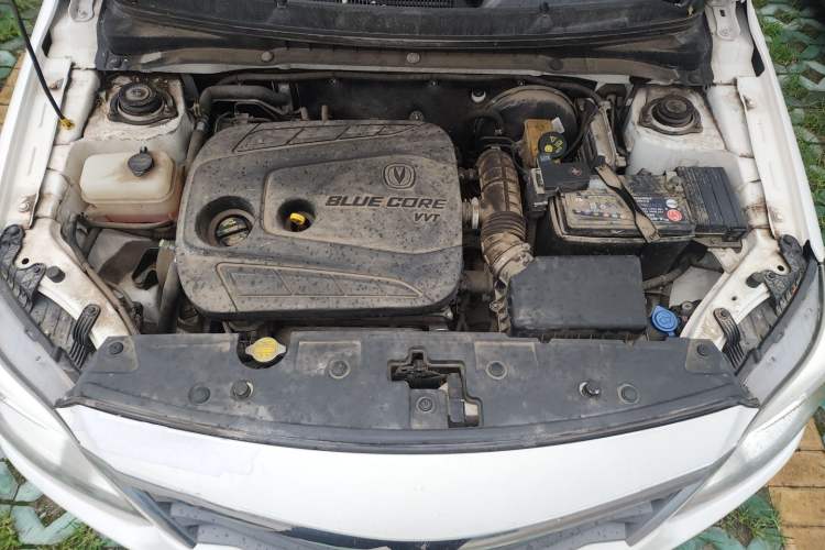 Used CHANGAN Alsvin V3 2015 1.4L Manual Warm-Hearted Model China V Standard Engine Bay