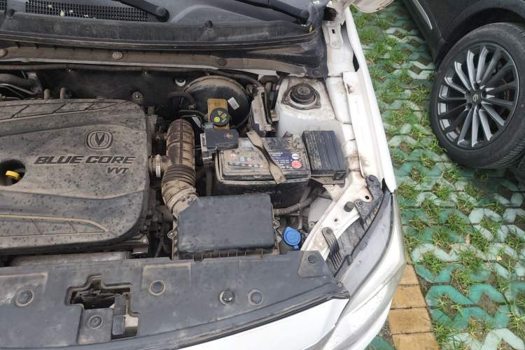 Used CHANGAN Alsvin V3 2015 1.4L Manual Warm-Hearted Model China V Standard Engine Bay Left