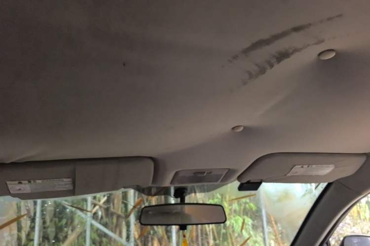 Used CHANGAN Alsvin V5 2012 1.5L Manual Dream Edition Headliner