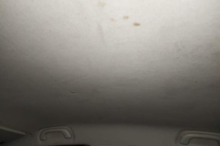 Used CHANGAN Benni 2014 1.4L IMT Luxury Model Headliner