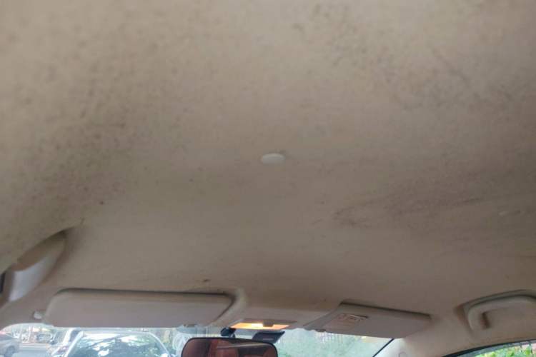 Used CHANGAN Benni 2015 1.4L IMT Prestige Model China V Standard Headliner