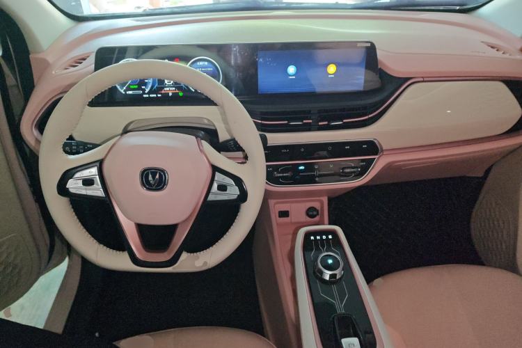 Used CHANGAN Benni E-Star 2020 Xinyue Edition Lithium Iron Phosphate (31.95 kWh) Center Console