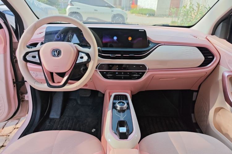 Used CHANGAN Benni E-Star 2020 Xinyue Edition Lithium Iron Phosphate (31.95 kWh) Center Console