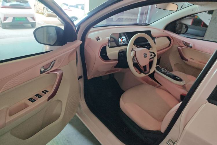 Used CHANGAN Benni E-Star 2020 Xinyue Edition Lithium Iron Phosphate (31.95 kWh) Driver Seat