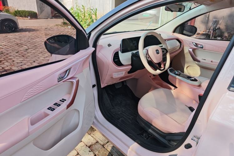 Used CHANGAN Benni E-Star 2020 Xinyue Edition Lithium Iron Phosphate (31.95 kWh) Driver Seat