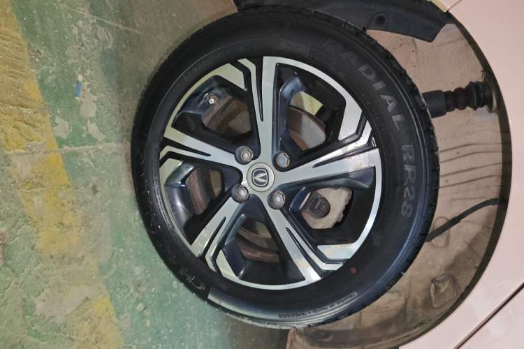 Used CHANGAN Benni E-Star 2020 Xinyue Edition Lithium Iron Phosphate (31.95 kWh) Exterior 5