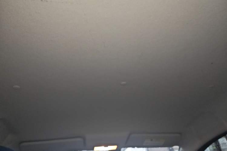 Used CHANGAN Benni E-Star 2020 Heart Edition Lithium Iron Phosphate (31.18 kWh) Headliner