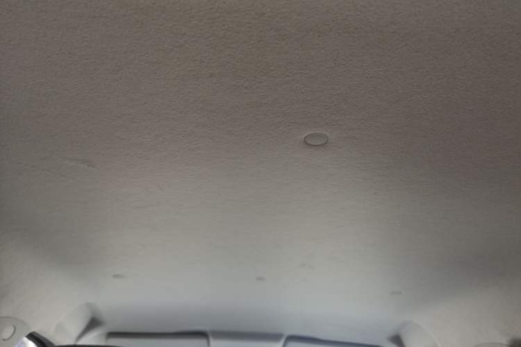 Used CHANGAN Benni E-Star 2020 Heartbeat Edition NMC Lithium Headliner
