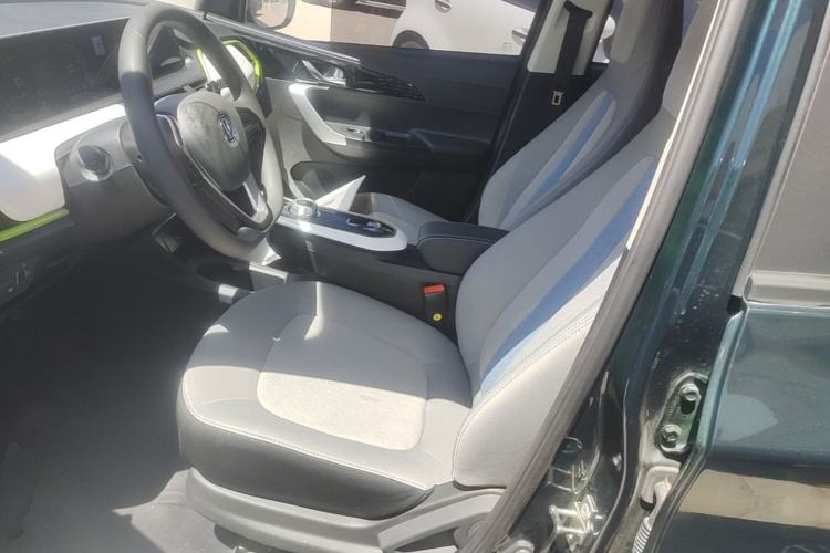 Used CHANGAN Benni E-Star 2020 Xinyue Edition Lithium Iron Phosphate (31.95 kWh) Left Front Seat