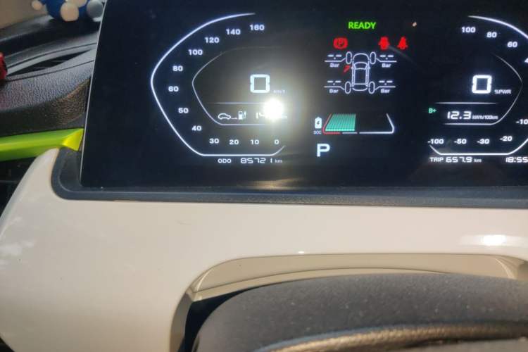 Used CHANGAN Benni E-Star 2020 Heartbeat Edition NMC Lithium Odometer Close Up