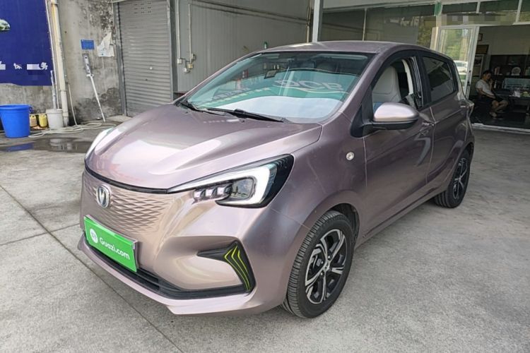 Ojetý CHANGAN Benni E-Star 2020 Xinyue Edition Lithium-NMC Guazi used car, China used car export, Used car for sale, Used  cars, Cheapest cars for sale