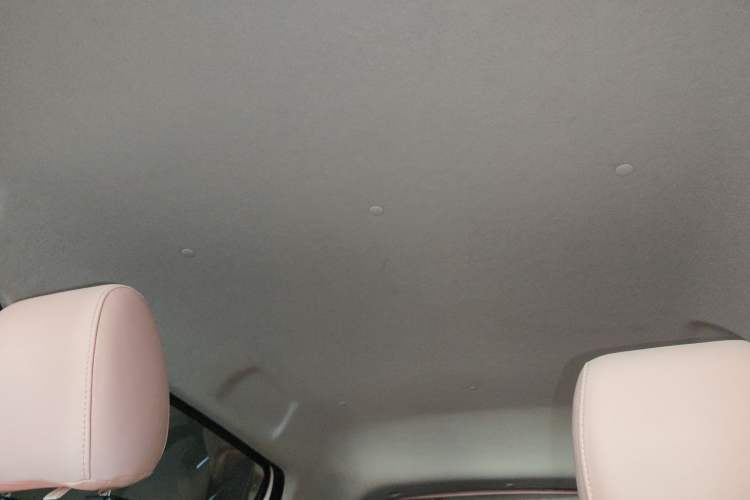 Used CHANGAN Benni E-Star 2020 Xinyue Edition Lithium Iron Phosphate (31.95 kWh) Headliner