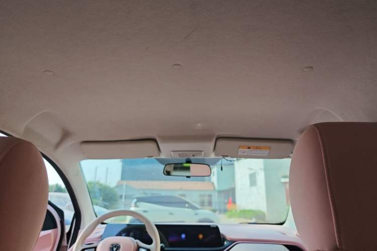 Used CHANGAN Benni E-Star 2020 Xinyue Edition Lithium Iron Phosphate (31.95 kWh) Headliner