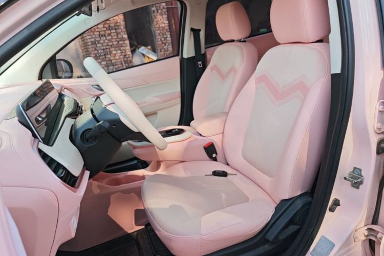 Used CHANGAN Benni E-Star 2020 Xinyue Edition Lithium Iron Phosphate (31.95 kWh) Left Front Seat