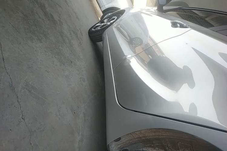 Used CHANGAN Benni E-Star 2020 Heart Edition Lithium Iron Phosphate (31.18 kWh) Left Side Sill