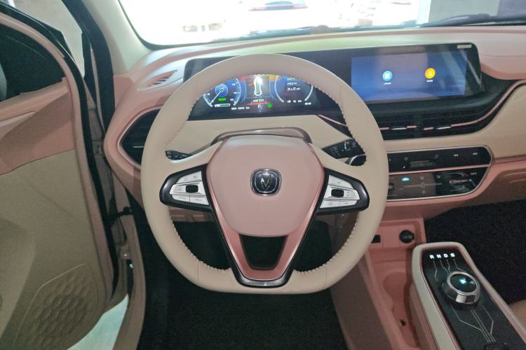 Used CHANGAN Benni E-Star 2020 Xinyue Edition Lithium Iron Phosphate (31.95 kWh) Steering Wheel