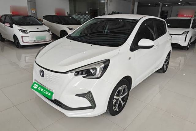 Used CHANGAN Benni E-Star 2020 Heartbeat Edition NMC Lithium