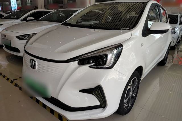 Used CHANGAN Benni E-Star 2020 Xinyue Edition Lithium Iron Phosphate (31.18 kWh)