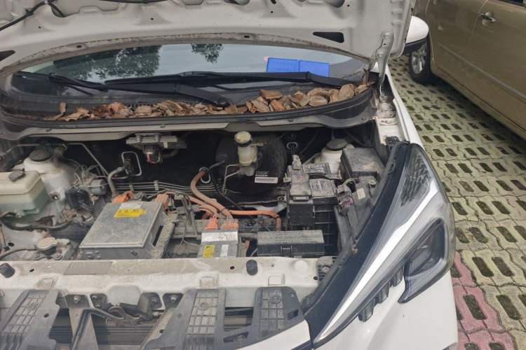 Used CHANGAN Benni E-Star 2020 Xinyue Edition Lithium-NMC Engine Bay Left