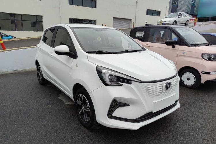 Used CHANGAN Benni E-Star 2020 Heartbeat Edition NMC Lithium Exterior 1