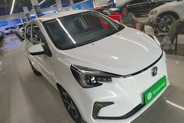Used CHANGAN Benni E-Star 2020 Xinyue Edition Lithium Iron Phosphate (31.18 kWh) Exterior 1