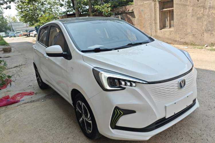 Used CHANGAN Benni E-Star 2020 Xinyue Edition Lithium-NMC Exterior 1
