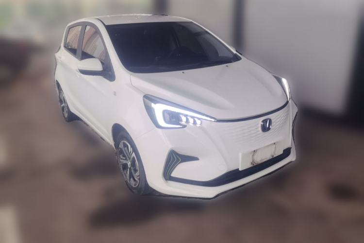 Used CHANGAN Benni E-Star 2020 Xinyue Edition Lithium-NMC Exterior 1