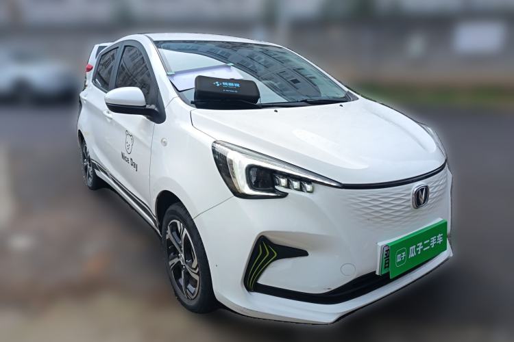Used CHANGAN Benni E-Star 2020 Xinyue Edition Lithium-NMC Exterior 2