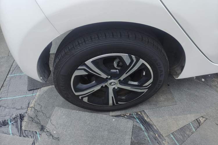 Used CHANGAN Benni E-Star 2020 Heartbeat Edition NMC Lithium Exterior 3