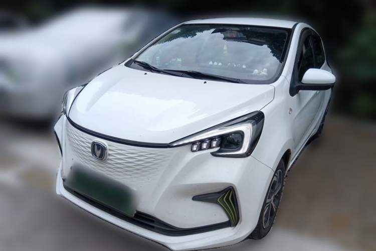 Used CHANGAN Benni E-Star 2020 Xinyue Edition Lithium-NMC Exterior 3