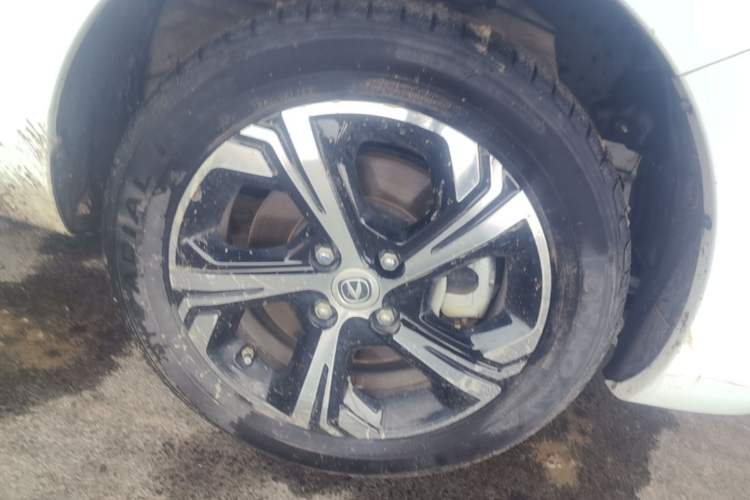 Used CHANGAN Benni E-Star 2020 Xinyue Edition Lithium-NMC Exterior 4