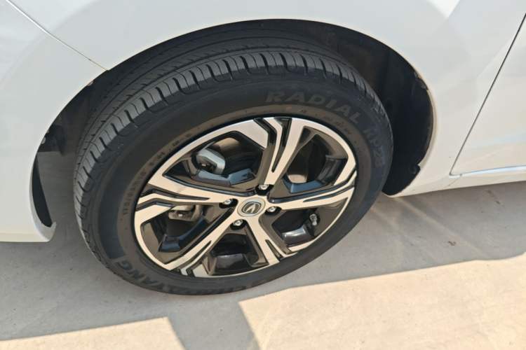Used CHANGAN Benni E-Star 2020 Heart Edition Lithium Iron Phosphate (31.18 kWh) Exterior 4