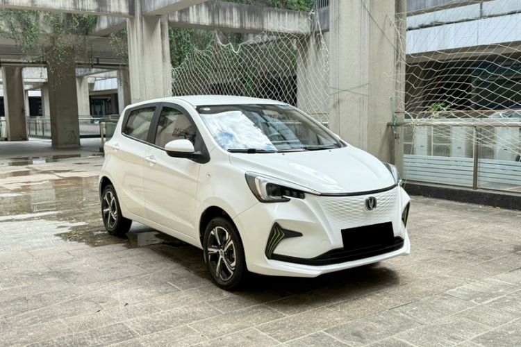 Used CHANGAN Benni E-Star 2020 Xinyue Edition Lithium-NMC Exterior 5