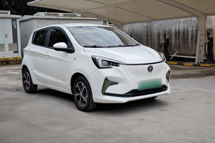 Used CHANGAN Benni E-Star 2020 Heartbeat Edition NMC Lithium Exterior 5
