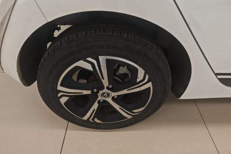 Used CHANGAN Benni E-Star 2020 Heartbeat Edition NMC Lithium Exterior 5