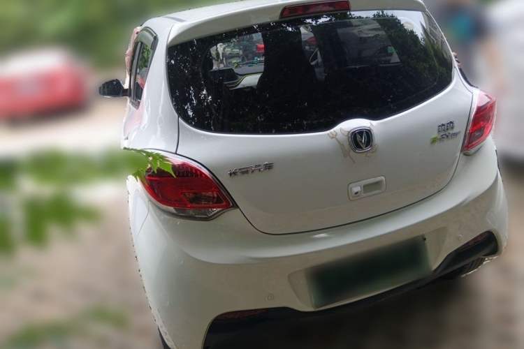 Used CHANGAN Benni E-Star 2020 Xinyue Edition Lithium-NMC Exterior 6
