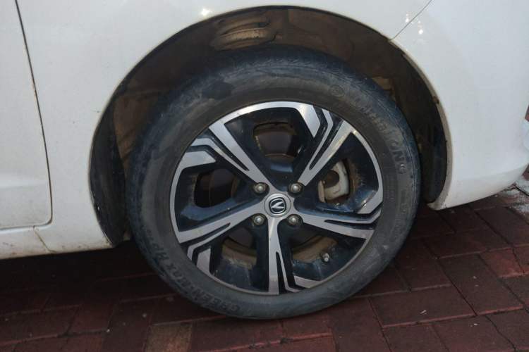 Used CHANGAN Benni E-Star 2020 Xinyue Edition Lithium-NMC Exterior 7
