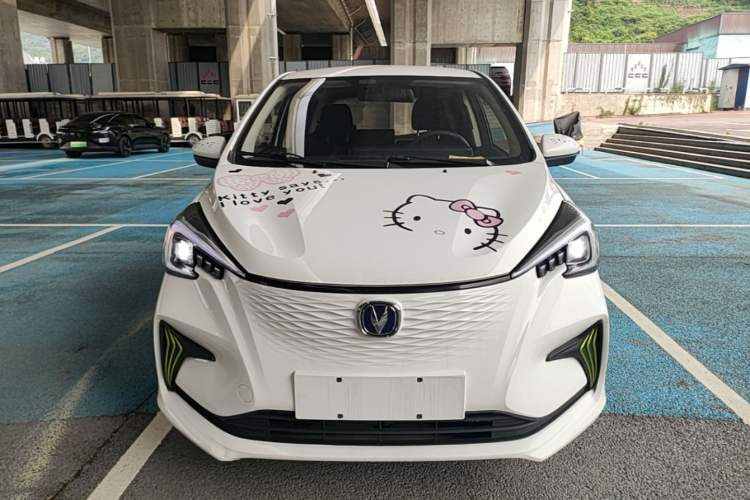 Used CHANGAN Benni E-Star 2020 Heartbeat Edition NMC Lithium Front