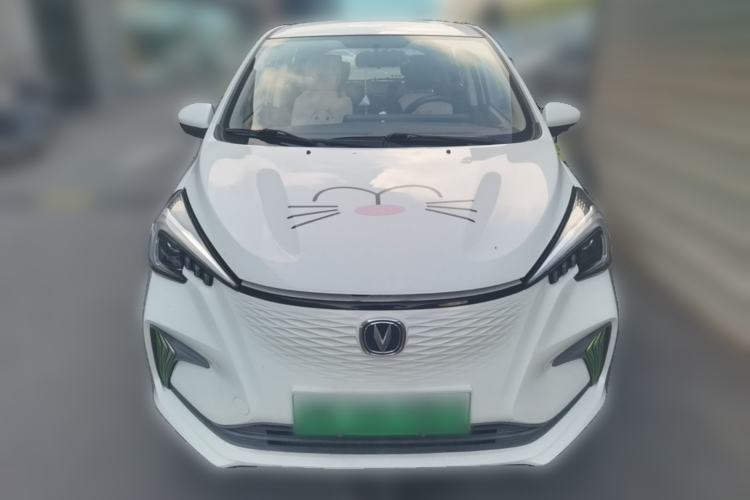 Used CHANGAN Benni E-Star 2020 Heartbeat Edition NMC Lithium Front