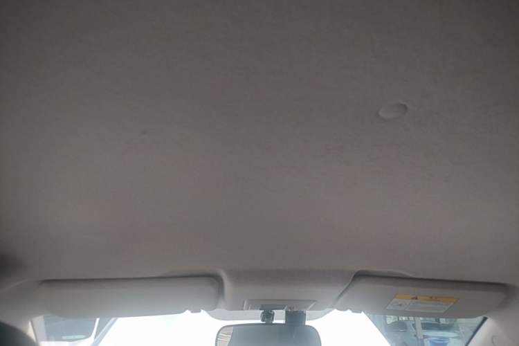 Used CHANGAN Benni E-Star 2020 Xinyue Edition Lithium-NMC Headliner