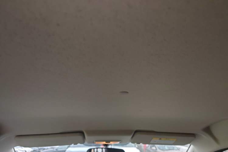 Used CHANGAN Benni E-Star 2020 Heartbeat Edition NMC Lithium Headliner