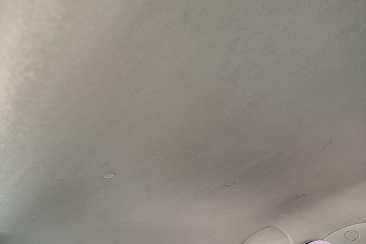 Used CHANGAN Benni E-Star 2020 Heartbeat Edition NMC Lithium Headliner