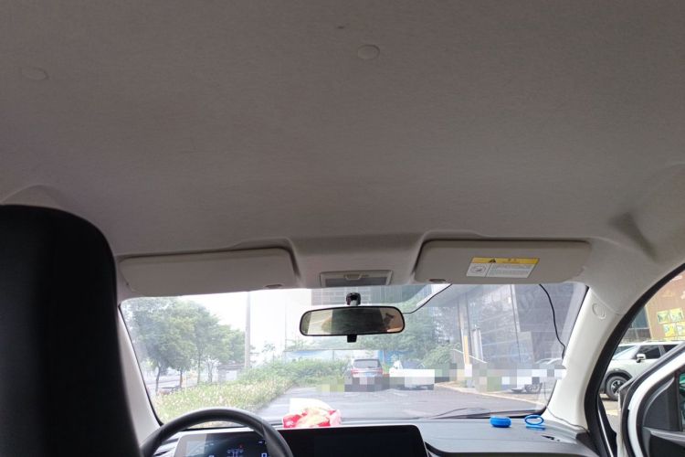 Used CHANGAN Benni E-Star 2020 Heart Edition Lithium Iron Phosphate (31.18 kWh) Headliner