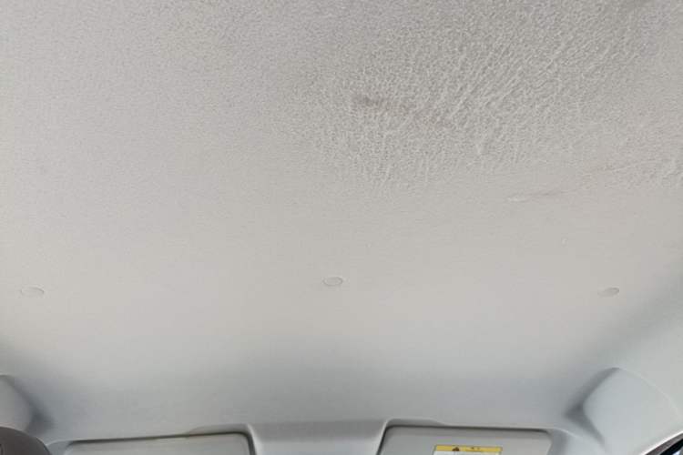 Used CHANGAN Benni E-Star 2020 Heartbeat Edition NMC Lithium Headliner