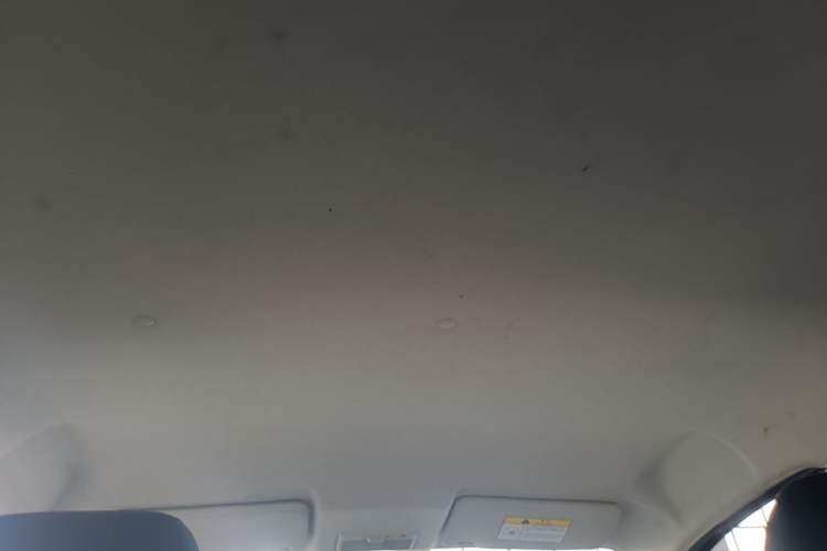 Used CHANGAN Benni E-Star 2020 Heart Edition Lithium Iron Phosphate (31.18 kWh) Headliner