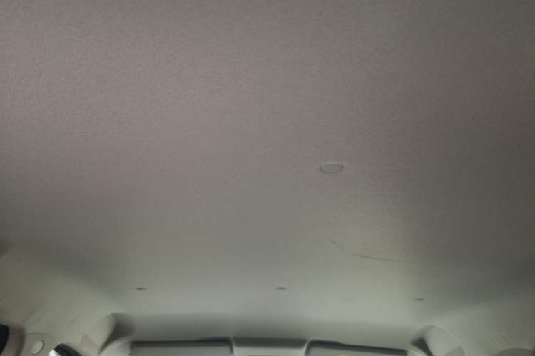 Used CHANGAN Benni E-Star 2020 Heartbeat Edition NMC Lithium Headliner
