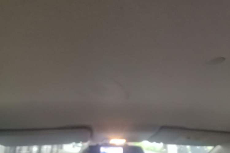 Used CHANGAN Benni E-Star 2020 Xinyue Edition Lithium-NMC Headliner