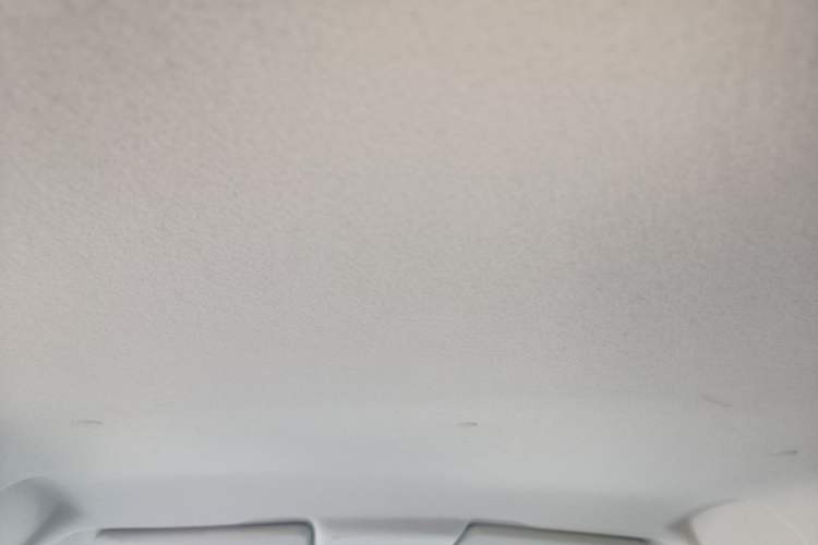 Used CHANGAN Benni E-Star 2020 Heart Edition Lithium Iron Phosphate (31.95 kWh) Headliner