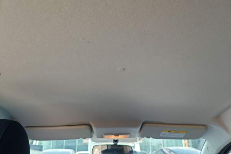 Used CHANGAN Benni E-Star 2020 Heart Edition Lithium Iron Phosphate (31.18 kWh) Headliner